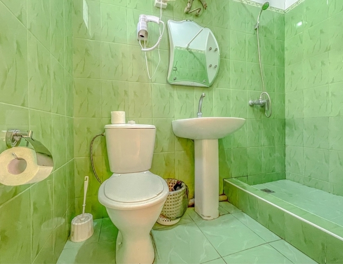 Стандарт 2-местный 1-комнатный в коттедже - Отель «Анакопия Club» Приморское